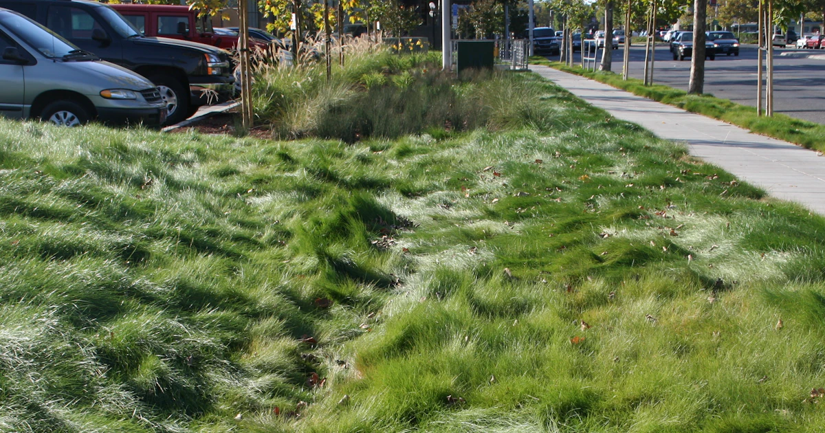 Our Environment: “How Green Is Your Lawn” by Scott… | Go Local Prov