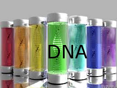 RI Legislators Push for Criminal DNA Sampling in… | Go Local Prov