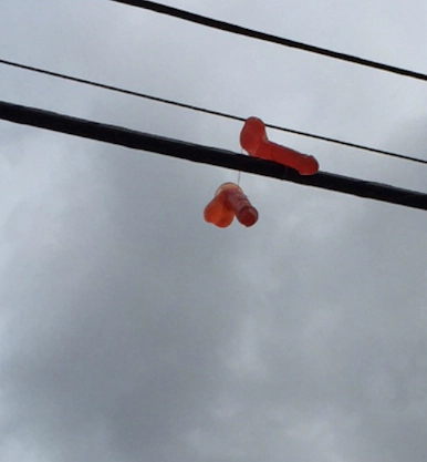 Bizarre Phenomenon: Sex Toys Littering Streets | Go Local Prov Bizarre Phenomenon: Sex Toys Littering Streets | Go Local Prov