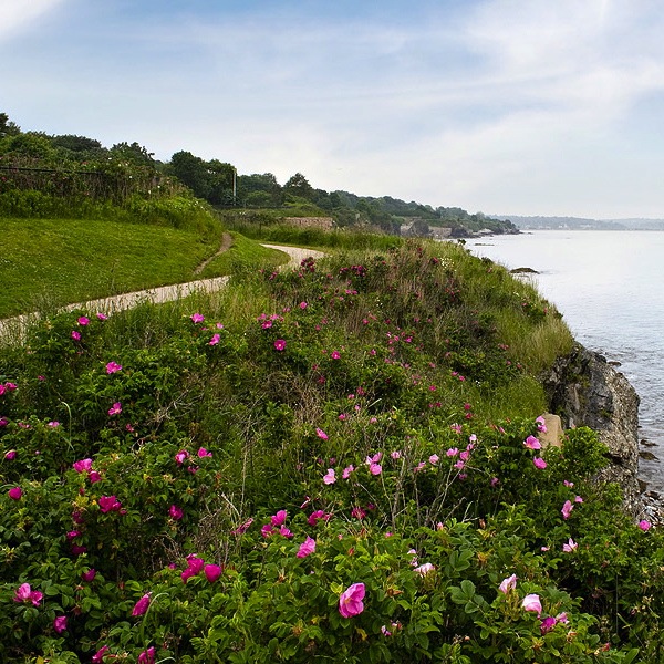 8 Great Spring Walks in Rhode Island | Go Local Prov